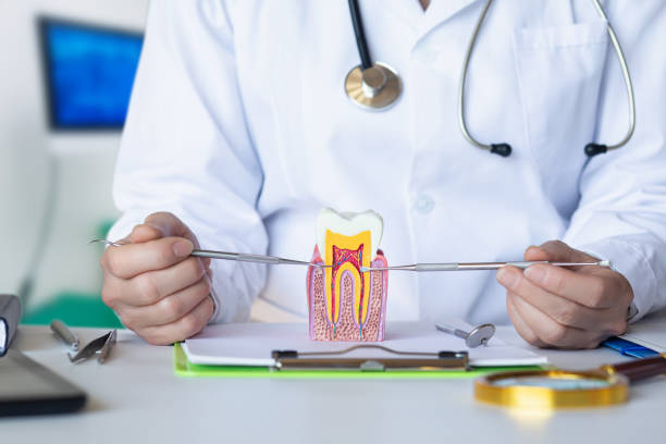 Best Weekend Emergency Dentist in Schofield, WI
